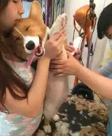 色狗,连美女的最后一件衣物也不放过
