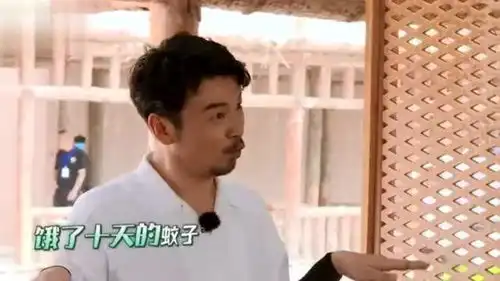 极挑雷佳音魏大勋戏精上线,把蚊子飞打蚊子加进舞蹈里,好笑
