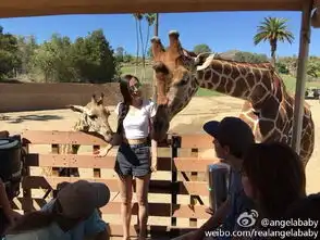 3招练出细腰长腿翘屁股为了高腰牛仔短裤,拼了
