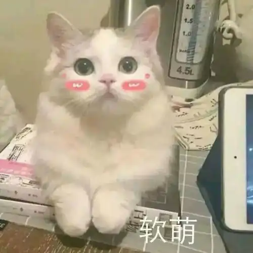 杨幂的额头注定要养老公,房祖名的发际线与父无缘,额头影响你十年
