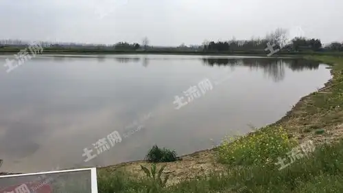 斜陡堰水库在哪里好玩吗钓鱼攻略图片和电话号码土流网
