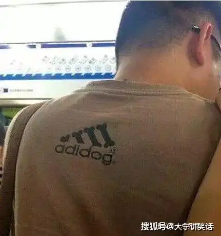 搞笑gif忍不住化身一条固执的鱼儿,游来游去
