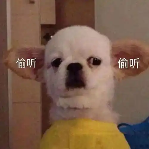 你们要的搞笑表情包来啦
