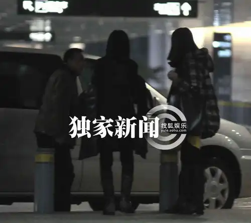 独家李冰冰机场忙捂脸指挥助理摆放行李
