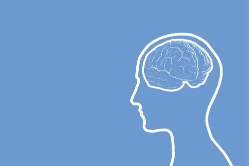 小脑研究的里程碑科学家首次成功绘制出人类小脑发育的分子图谱
