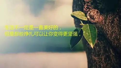 适合朋友圈发写进心窝里的一段话
