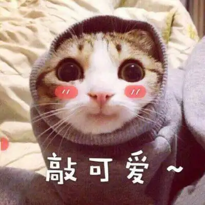 那些年我经历过的朋友圈,个个都是段子大神,笑到我肚子痛

