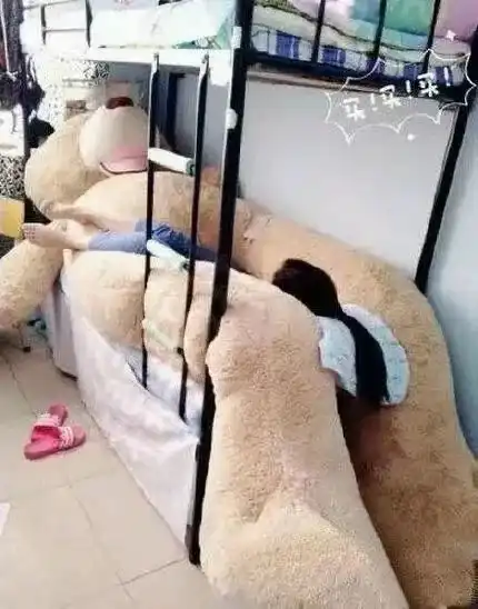 笑出腹肌的搞笑图片1

