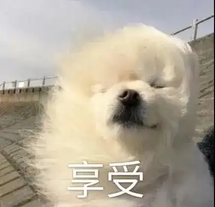 一夜骤降6泉州未来一周入秋有望
