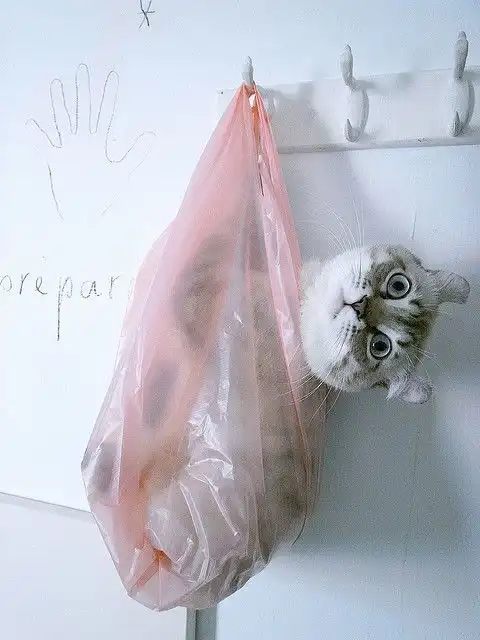 燚的相册mua..
