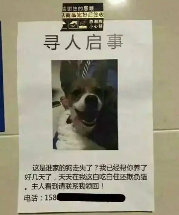 别贴了,这样的寻狗启示根本找不到狗
