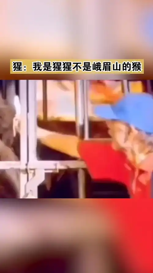 猩我是猩猩不是峨眉山的猴搞笑
