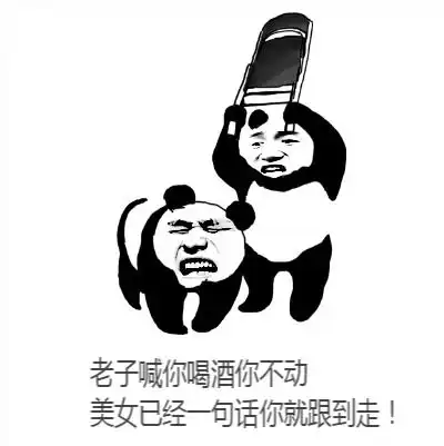 新人报道,请多关照
