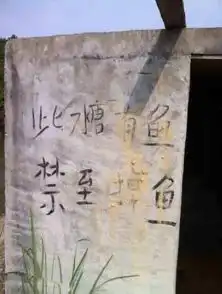 深井冰妹子们拿的是什么东东
