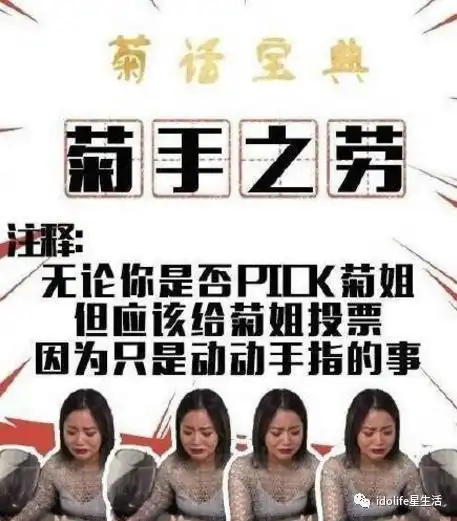 一菊成名造就菊世无双这个女孩凭什么撬动整个娱乐圈
