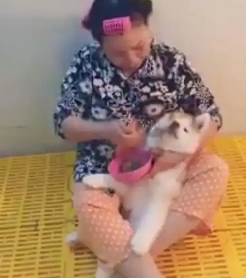 奶奶就是喜欢喂饭,怀里是你是狗都无所谓

