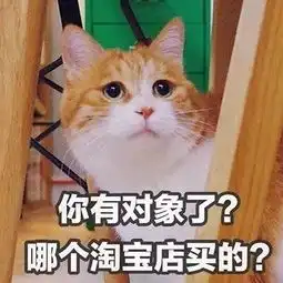 最特别搞笑的猫咪头像带文字百口难辩的时候才懂得人言可畏
