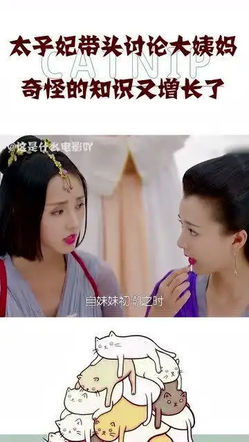 小伙魂穿古代成太子妃,美人环绕,还组织妃子讨论大姨妈

