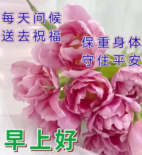 2月7日周二早安问候图片带字,有钱难买天天乐,保重身体好好过
