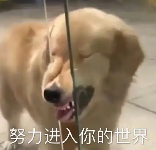 沙雕表情包,你确定不需要吗
