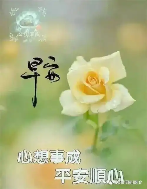语短情长的早安情话超话
