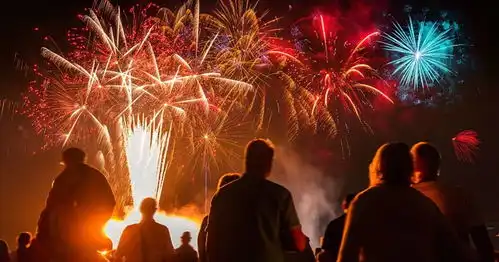 猪年到被烟花爆竹声吓到失禁9个准备让狗狗平安度过
