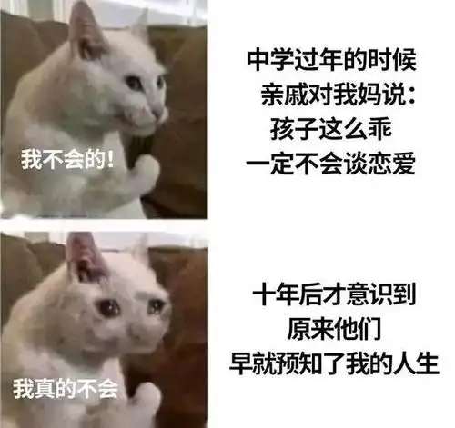 为什么没人写天津人是霸总的小说,哈哈哈哈哈哈来了来了
