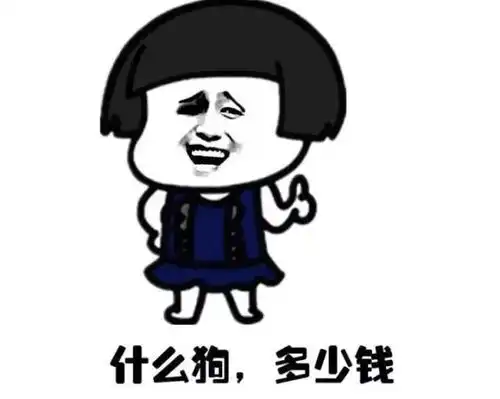 搞笑图片闺蜜追尾了,第一时间给我打了电话
