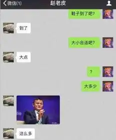 奇葩搞笑聊天记录老妈,给你商量个事,不商量你和狗我只养一个
