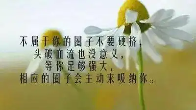 友谊的路上,感恩有你真心谢谢你

