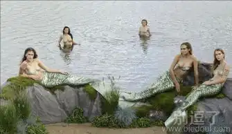 奇葩图片笑话搞笑奇葩图片精选爆笑奇葩图片大全第18页别逗了
