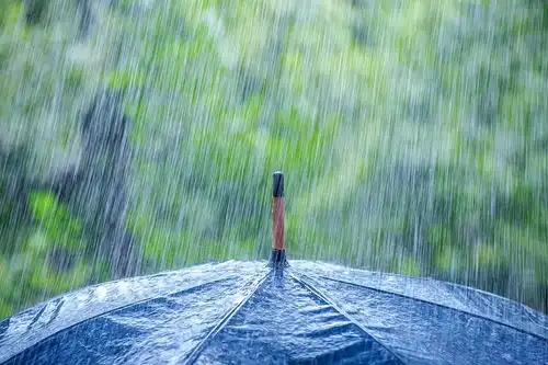 暴雨大风预警齐发,局地阵风6到8级未来几天,雨不休
