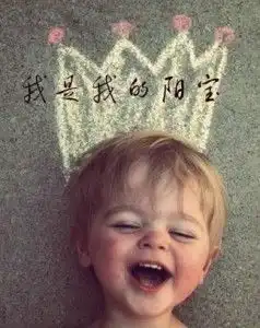 我是我的阳宝
