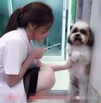 妹子你看到了什么呢,能害羞成这样
