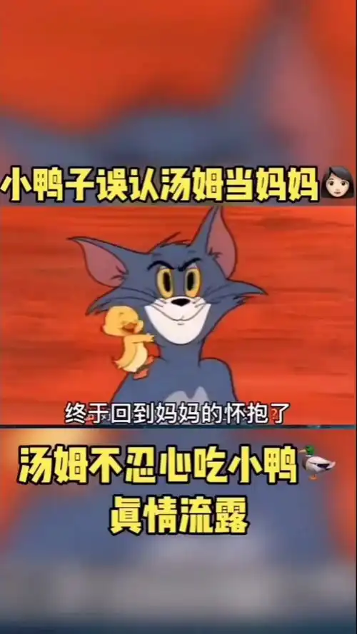 爆笑汤姆猫
