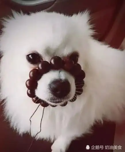 搞笑段子老婆在我背上画了一个圈,竟然让我把猪这个地方

