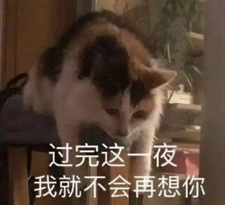 超贵的头像腾讯新闻
