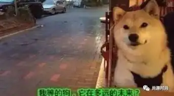 狗年还在做单身宅女约上你的塑料姐妹花,玩得赚带你餐桌遇到爱
