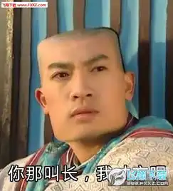 还珠格格好方表情包下载还珠格格好方表情下载飞翔下载
