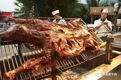 七夕当天龙山首届烤全牛活动等你来
