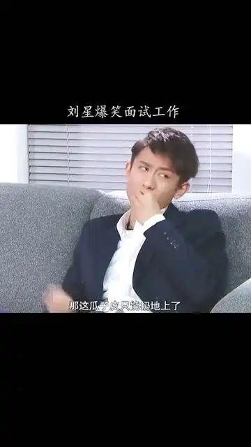 刘星爆笑演绎面试工作.
