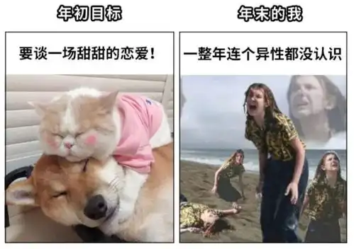搞笑图片别试图教猪唱歌,不但没有结果还惹猪不高兴

