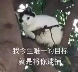 精选头像丨今日份沙雕搞怪头像
