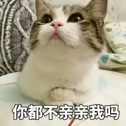 可爱猫咪搞笑带字头像2018最新版或许适合真的比喜欢重要
