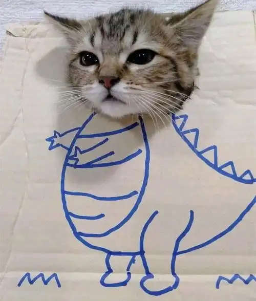 猛男专用表情包
