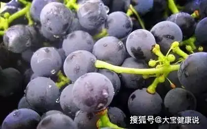 买葡萄看7个地方轻松辨别有没有打激素,学会后再也不担心买错了
