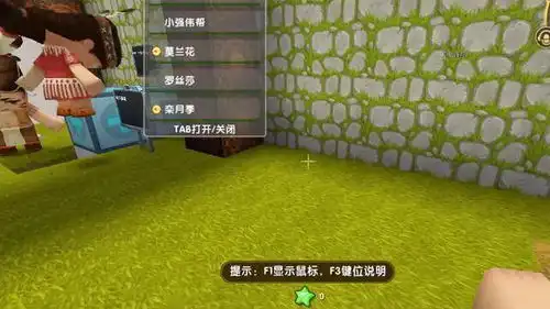 迷你世界好玩吗mc玩家体验一局后删除,可玩性要加强
