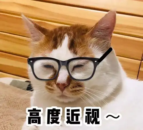 猫咪表情包合集两眼一闭,当你放屁养猫

