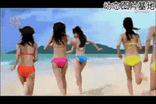 搞笑gif图片疯子的世界我们看不懂
