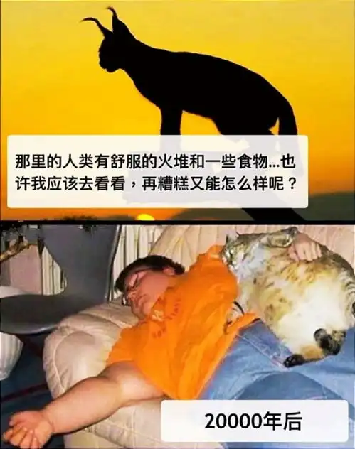 大爷,你手机屏幕偏色啊囧图于是,你让他走了后门
